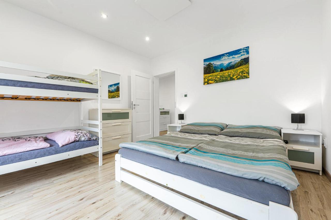 Wellness Villa Klinovec Views Loučná pod Klínovcem 외부 사진