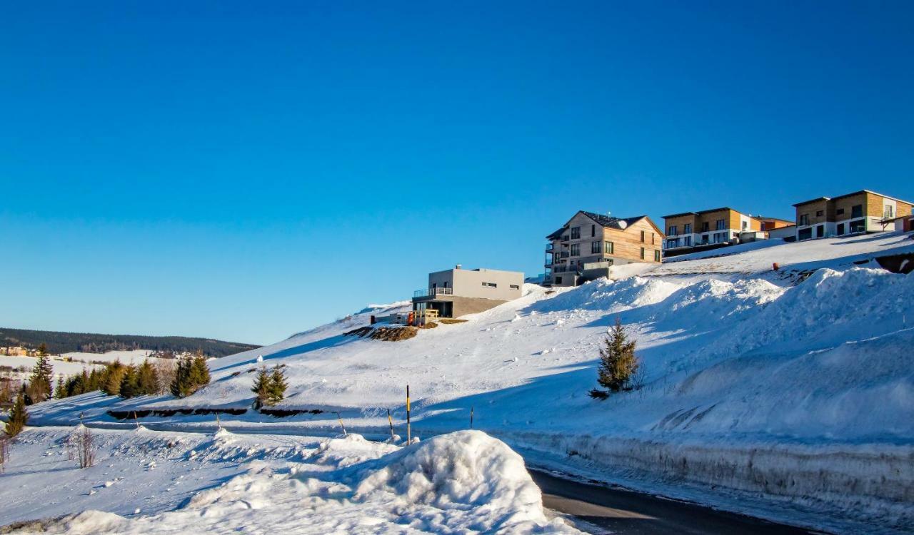 Wellness Villa Klinovec Views Loučná pod Klínovcem 외부 사진
